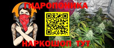 PSILOCYBIN Кингисепп